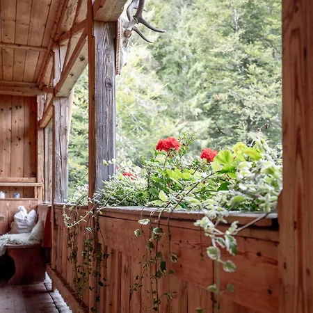 Talsenalm Wald Habitat Villa Waidring Exterior photo