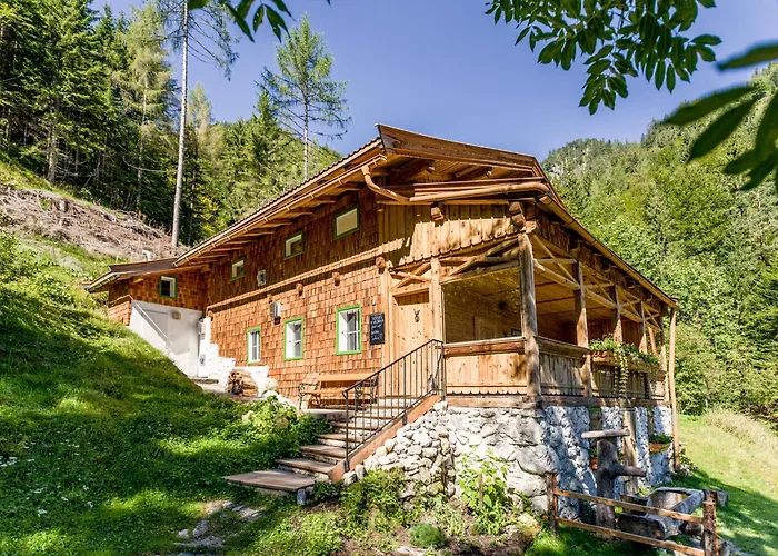 Talsenalm Wald Habitat