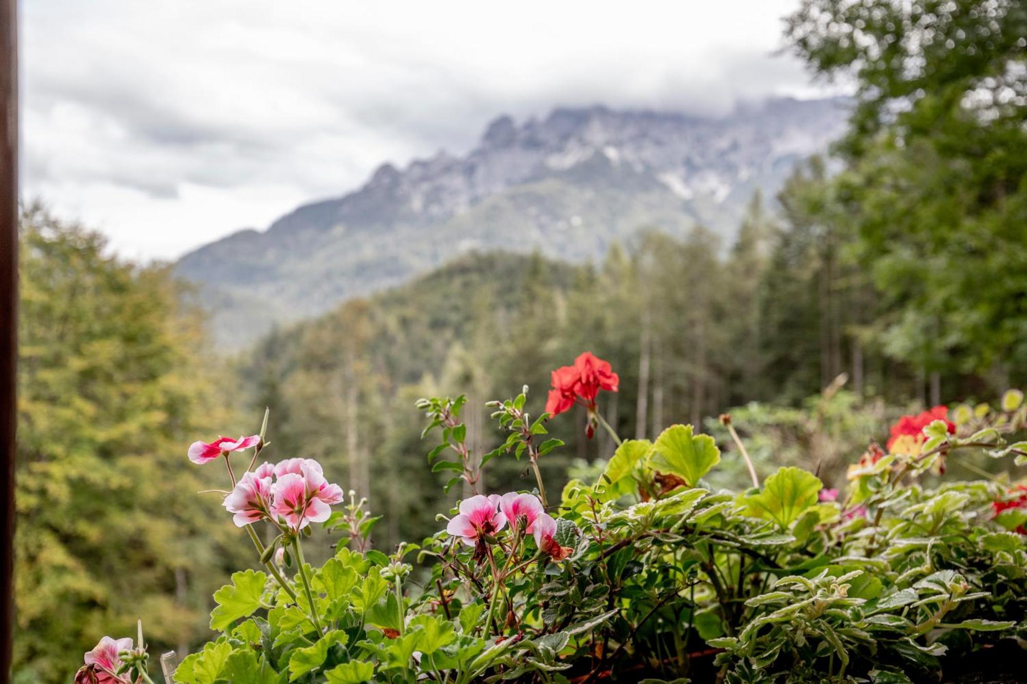 Hébergement de vacances Talsenalm Wald Habitat Waidring