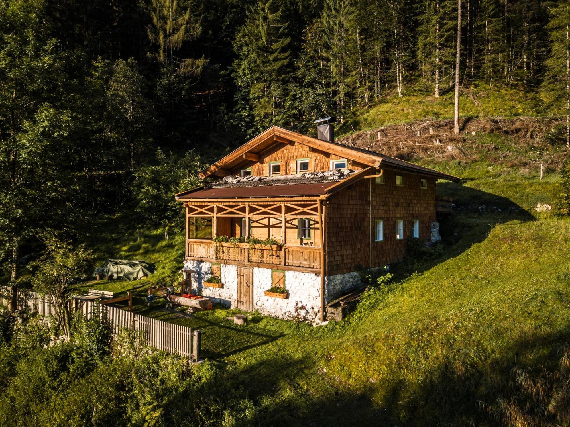 Talsenalm Wald Habitat *
