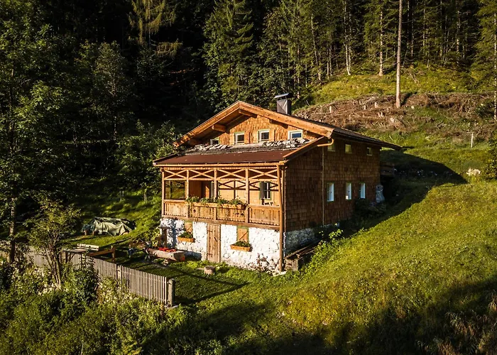 Talsenalm Wald Habitat
